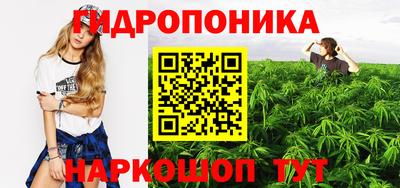 apvp Лесосибирск