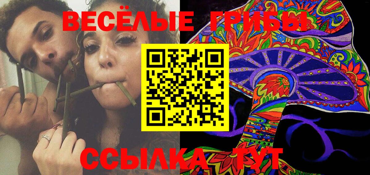 Псилоцибиновые грибы Psilocybine cubensis Камень-на-Оби