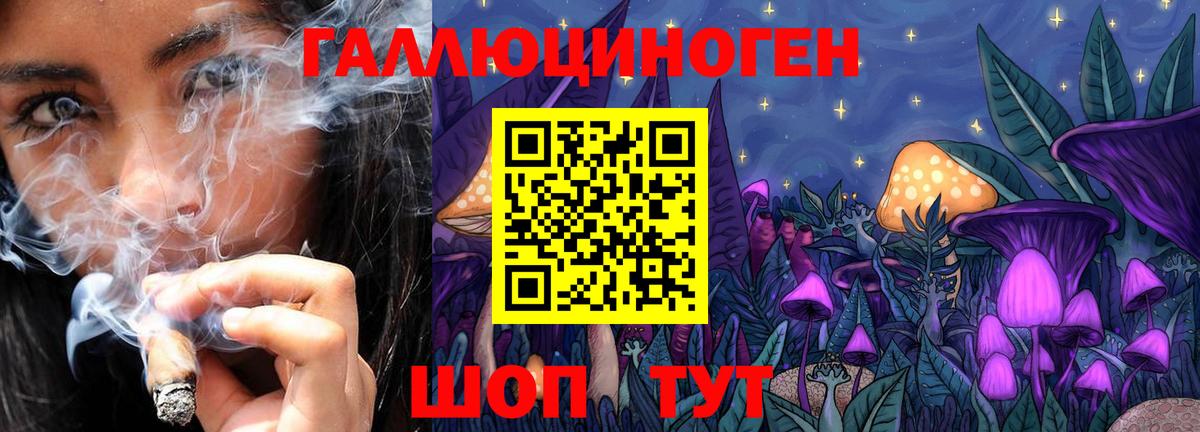 Камень-на-Оби  Псилоцибиновые грибы Magic Shrooms  сколько стоит  Вход с VPN 